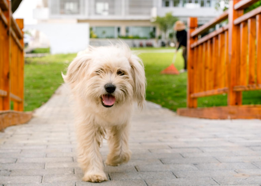 FkMIHwyE_tdEt.png?auth_key=1777219199-0-