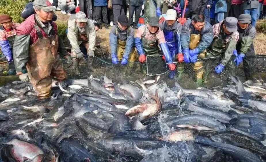 ICCAnLsf_xqwK.jpg?auth_key=1777219199-0-